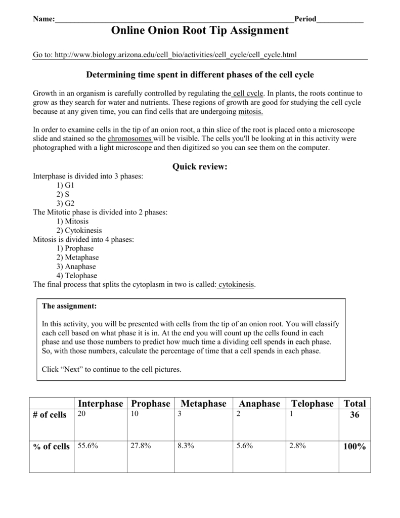 Online Onion Root Tip Assignment For Onion Cell Mitosis Worksheet Key