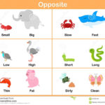 Opposite With Animals For Preschool  Worksheet For Education Stock Along With Opposites Preschool Worksheets