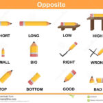 Opposite Word For Preschool  Worksheet For Education Stock Vector Within Opposites Preschool Worksheets