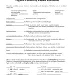 Organic Chemistry Review Worksheet With Regard To Organic Molecules Worksheet Review
