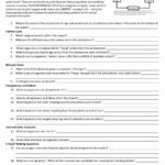 Organic Molecules Worksheet Review Answers  Briefencounters Intended For Organic Molecules Worksheet Review Answers