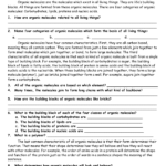 Organic Molecules Worksheet Review Together With Organic Molecules Worksheet Review