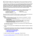 Organizational Assessment Guide And Tools Along With Transitional Care Management Worksheet