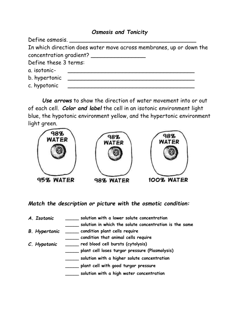 Osmosis And Tonicity Worksheet Together With Osmosis And Tonicity Worksheet
