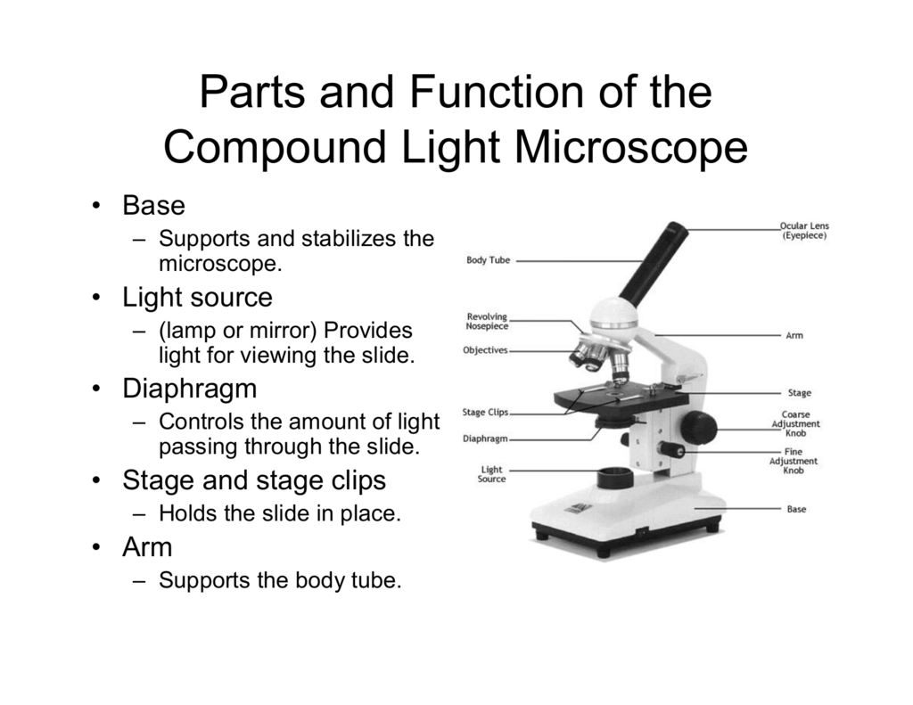Parts And Function Of The Compound Light Microscope As Well As Parts Of A Microscope Worksheet Answers