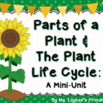 Parts Of A Plant  The Plant Life Cycle  Learning At The Primary Pond Or Plant Life Cycle For Kindergarten Worksheet