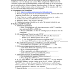 Pcr And Bacterial Id Virtual Lab F12 Throughout Bacterial Identification Lab Worksheet