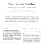 Pdf Photosynthesis In Microalgae Intended For Photosynthesis Diagrams Worksheet Answers