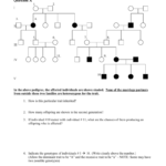 Pedigree Analysis Question Sheet Intended For Pedigree Analysis Worksheet Answers