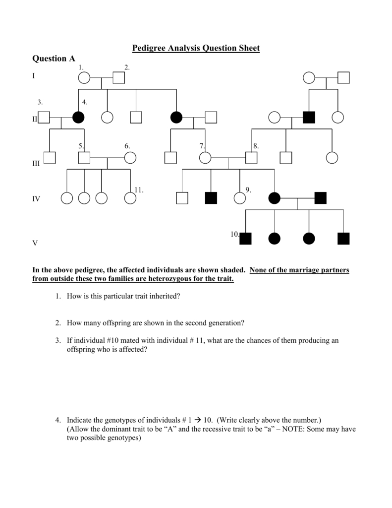 Pedigree Analysis Question Sheet Pertaining To Pedigree Analysis Worksheet