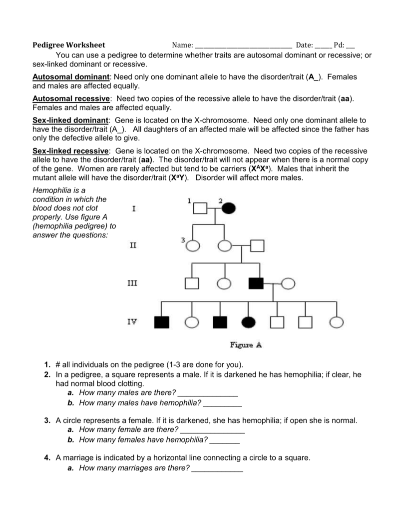 Pedigree Chart Wks With Regard To Pedigree Worksheet 3 Hemophilia The Royal Disease Answers