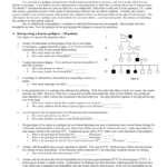 Pedigree Worksheet For Pedigree Worksheet 3 Hemophilia The Royal Disease Answers