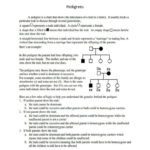 Pedigree Worksheet Inside Pedigree Worksheet 3 Hemophilia The Royal Disease Answers