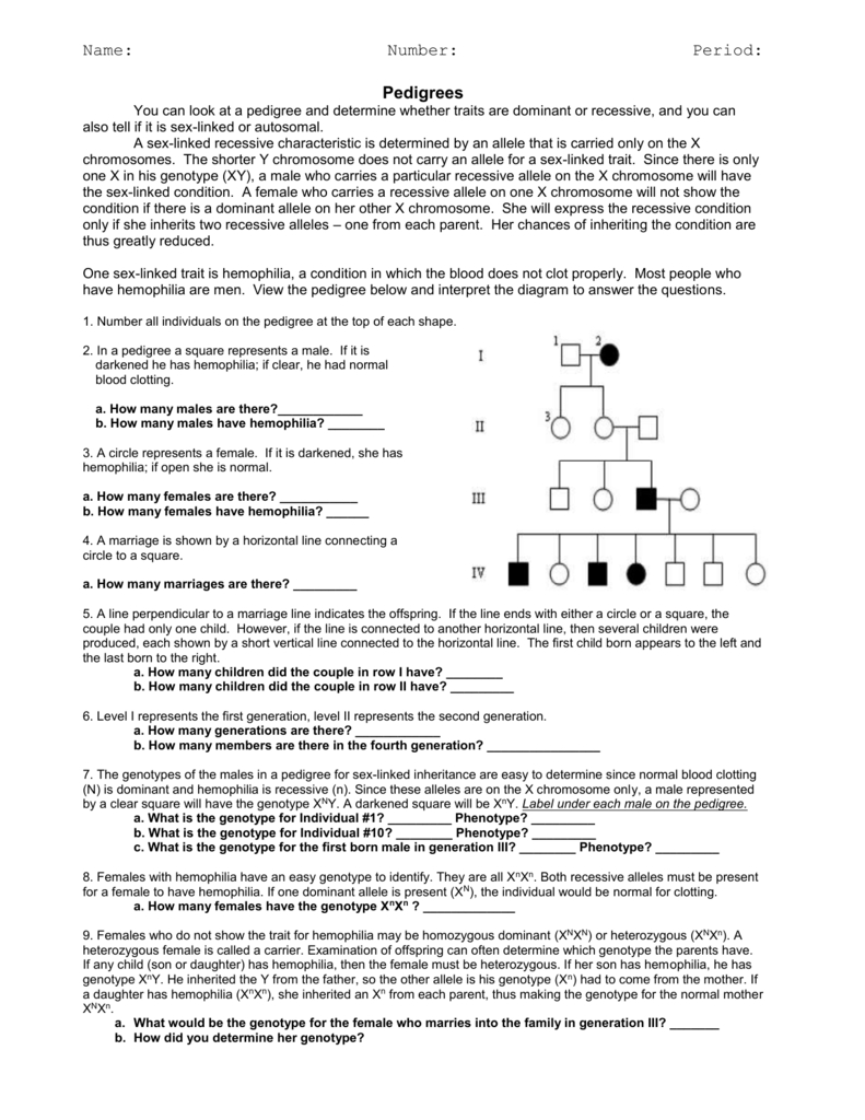 Pedigree Worksheet Together With Pedigree Worksheet 3 Hemophilia The Royal Disease Answers