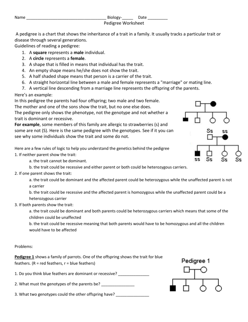 Pedigree Worksheet With Genetics Pedigree Worksheet