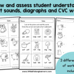 Phonics Worksheets  Assessment And Revision  Little Lifelong Learners Inside Check Writing Worksheets