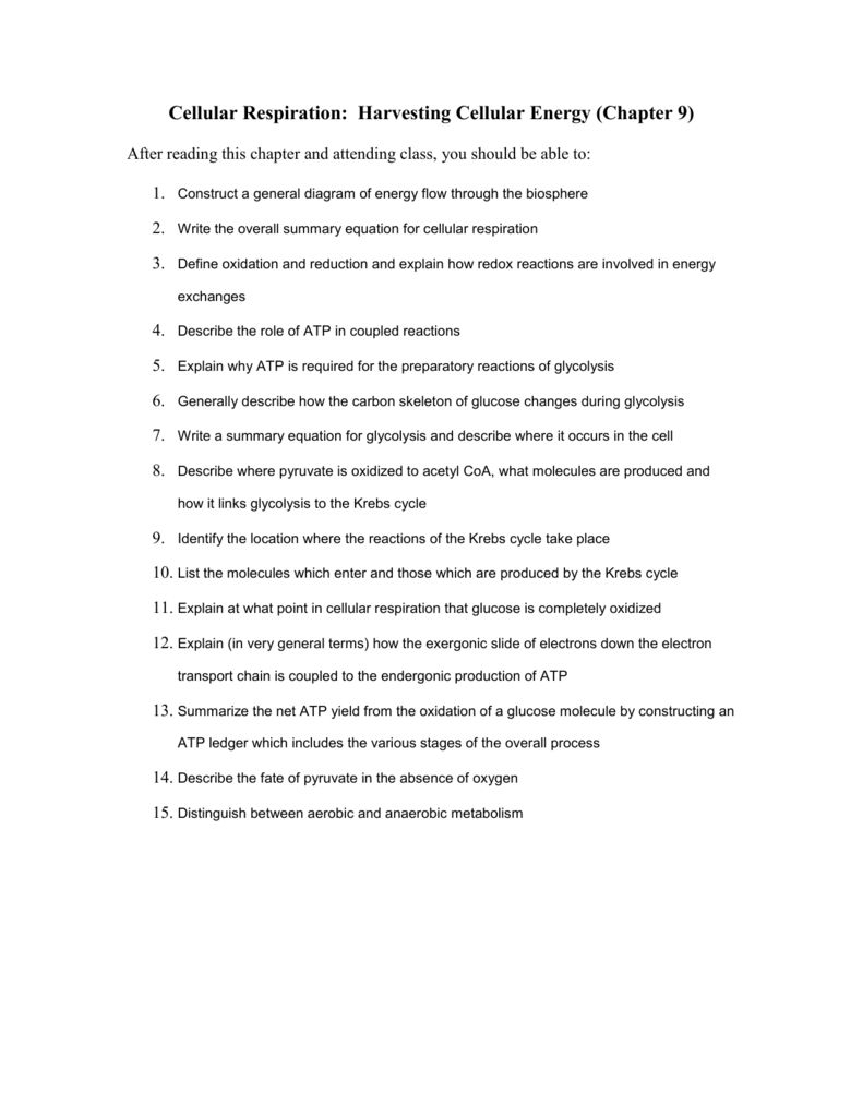 Photosynthesis And Cellular Respiration Review Worksheet Answer Key Within Photosynthesis And Cellular Respiration Review Worksheet Answer Key