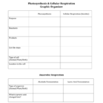 Photosynthesis  Cellular Resp Review Worksheet Also Photosynthesis Worksheet Middle School