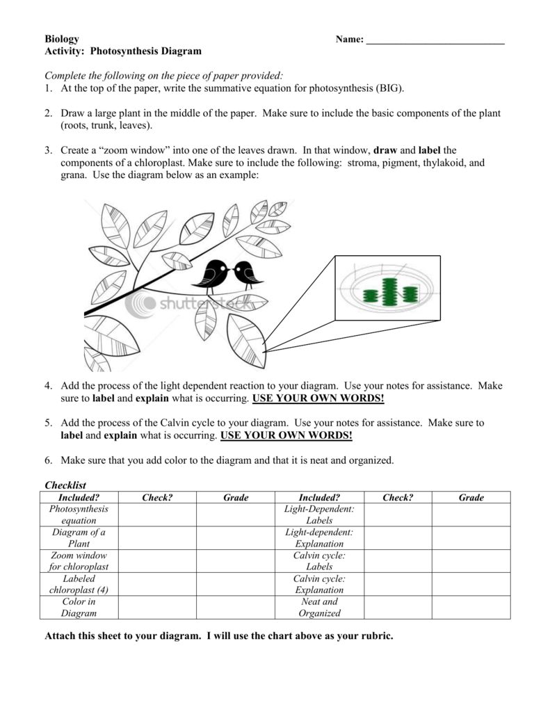 Photosynthesis Diagram For Photosynthesis Diagrams Worksheet Answers