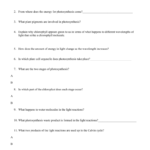 Photosynthesis Questions And Answers And Photosynthesis Worksheet Answer Key