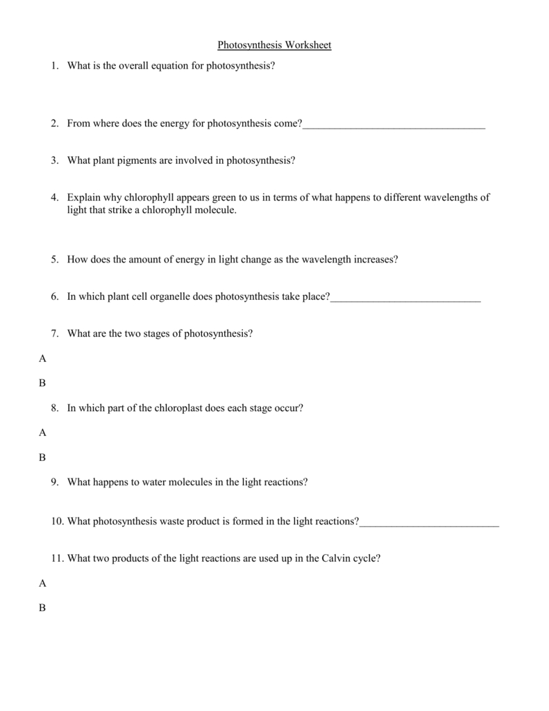 Photosynthesis Questions And Answers Throughout The Absorption Of Chlorophyll Worksheet Answers