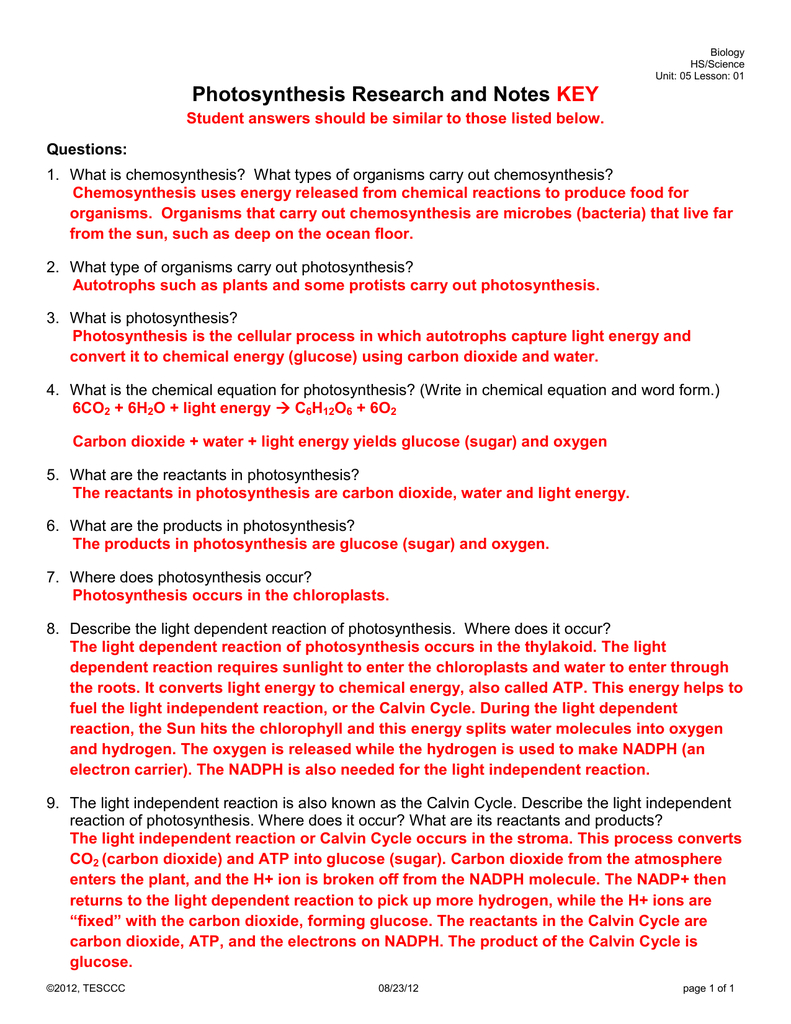 Photosynthesis Research And Notes Key For Photosynthesis Worksheet Answer Key