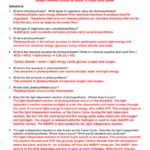 Photosynthesis Research And Notes Key Within Photosynthesis Worksheet Answers