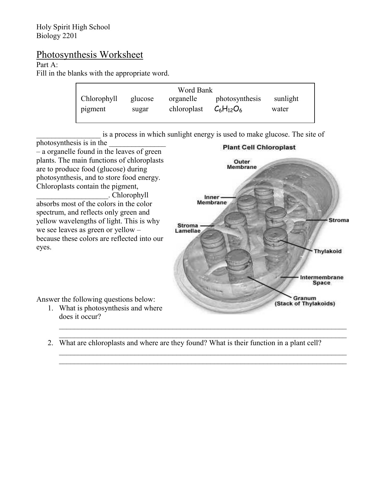 Photosynthesis Review Worksheet Inside Photosynthesis Worksheet Answers