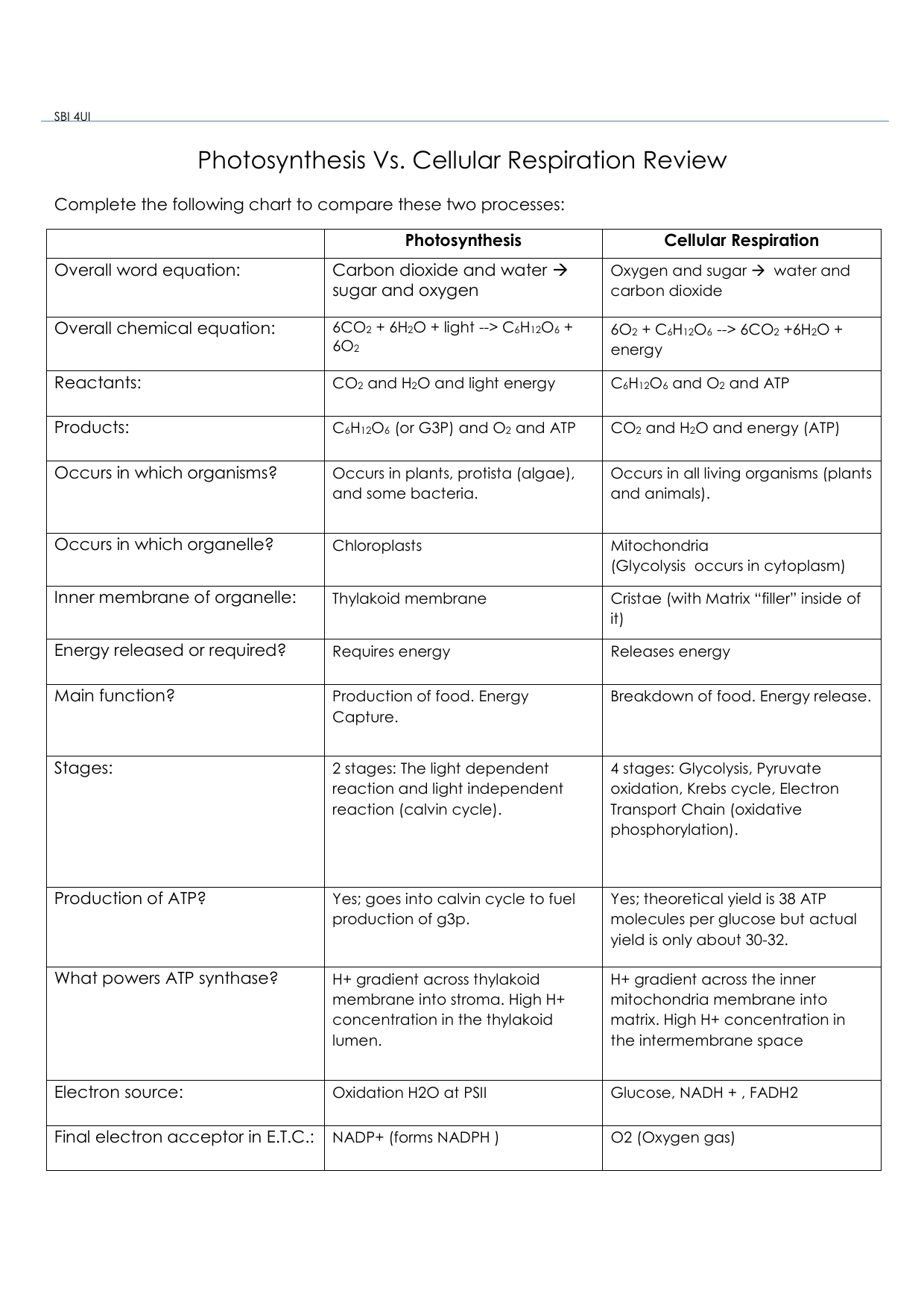 Photosynthesis Vs Cell Respiration Worksheet Answers Intended For Photosynthesis And Cellular Respiration Worksheet High School