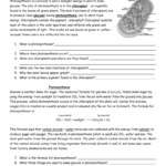 Photosynthesis Worksheet Also Cellular Respiration Breaking Down Energy Worksheet Answers