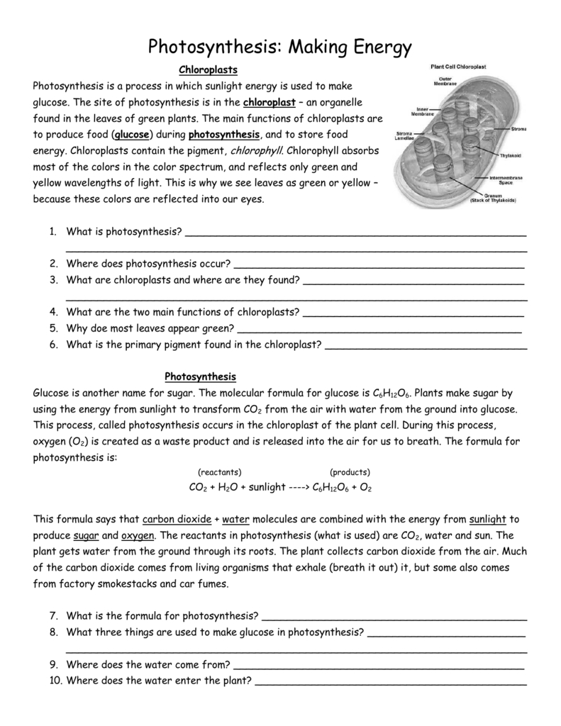 Photosynthesis Worksheet Also Cellular Respiration Breaking Down Energy Worksheet Answers