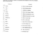 Physical And Chemical Properties Worksheet Physical Science A And Physical And Chemical Properties Worksheet