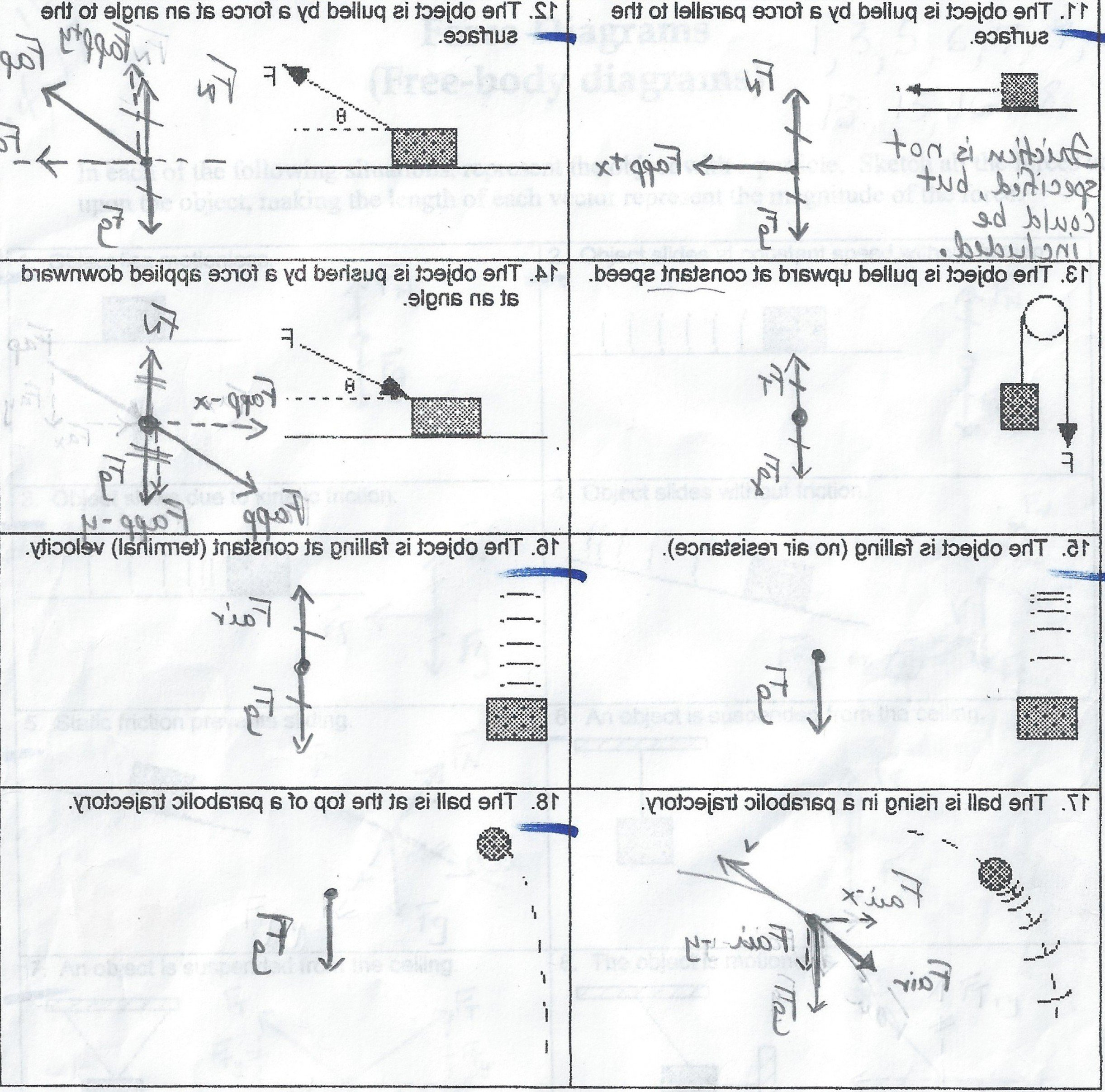 Physics Free Body Diagram Worksheet  Geekchicpro As Well As Drawing Free Body Diagrams Worksheet Answers Physics Classroom