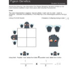 Pigeon Genetics Worksheet Answer Together With Genetics Worksheet Answer Key