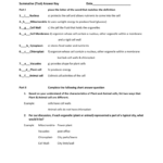 Plant And Animal Cell Assessment Answer Key Within Animal Cell Worksheet Answers