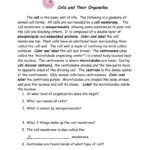 Plant  Animal Cells And Their Organelles Inside Cells And Their Organelles Worksheet