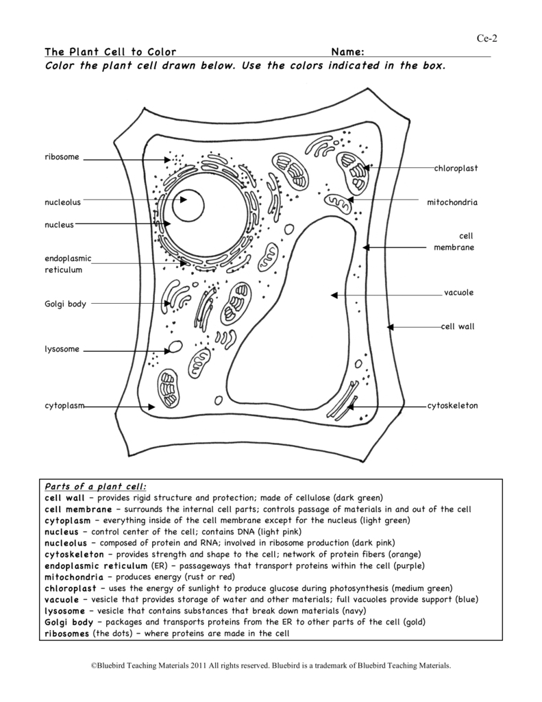 Plant Cell As Well As Label Plant Cell Worksheet