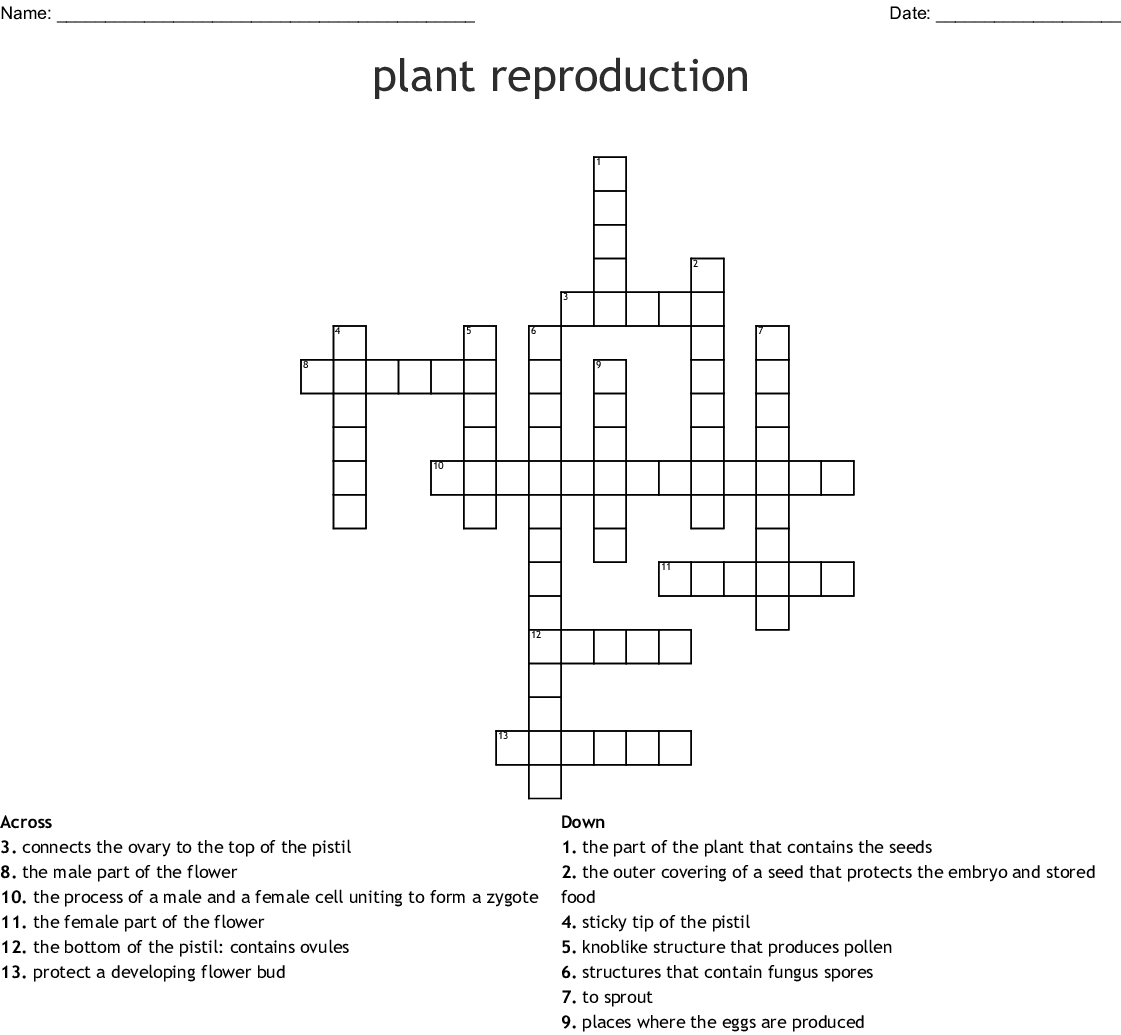 Plant Reproduction Crossword  Wordmint Intended For Plant Reproduction Worksheet Answers