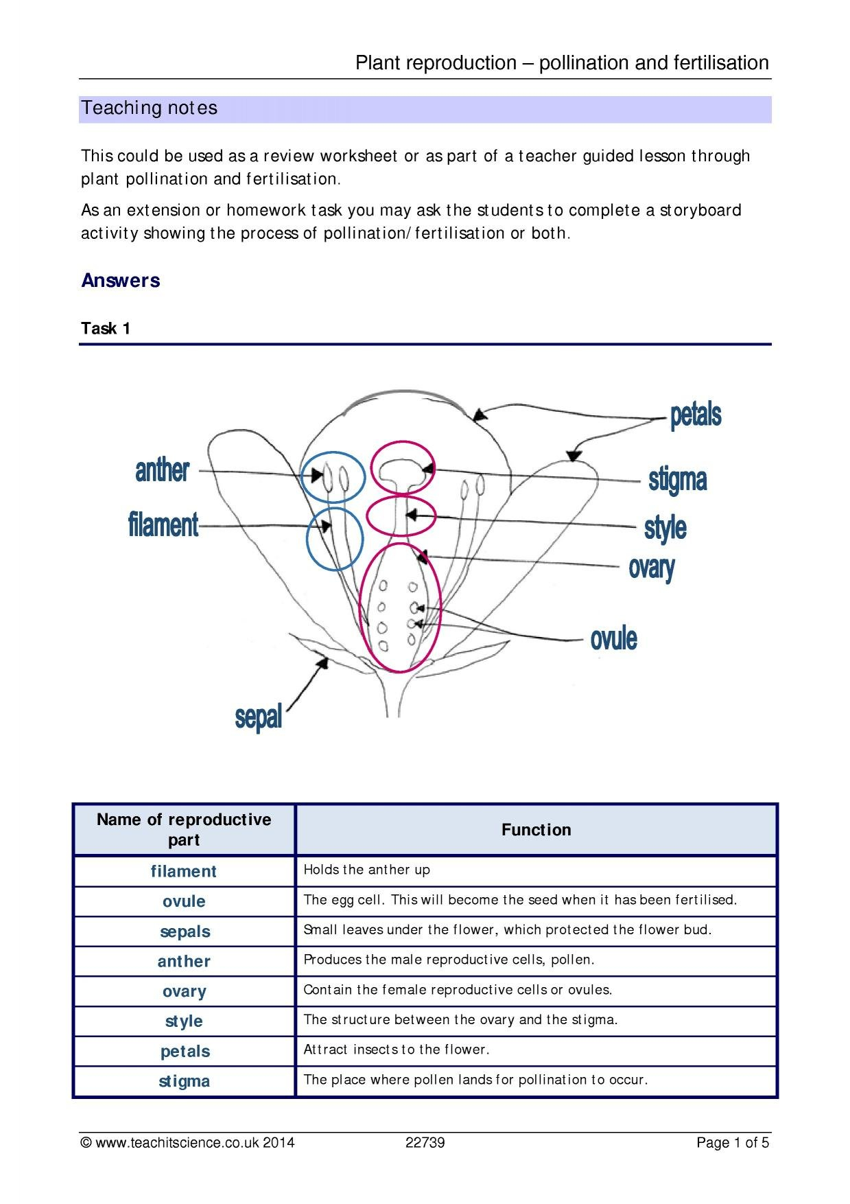 Plant Reproduction  Pollination And Fertilisation – Teachit Science Also Plant Structure And Function Worksheet