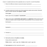 Plant Reproduction Worksheet With Plant Reproduction Worksheet Answers