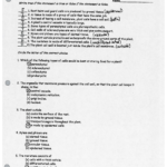 Plant Tissues And Growth Worksheet Cs Intended For Tissue Worksheet Answers
