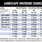 Plant Watering Guide  Water Use It Wisely Intended For Growing Media For Landscape Plants Worksheet