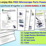 Please Enjoy This Free Microscope Parts Powerpoint  Ppt Download And Microscope Parts And Use Worksheet Answer Key