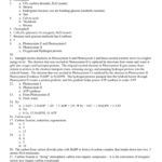 Pogil Key 4 And Global Climate Change Worksheet Answers Pogil
