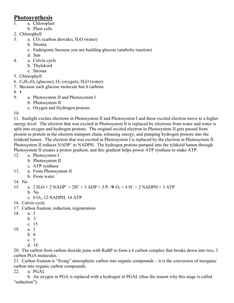 Pogil Key 4 And Global Climate Change Worksheet Answers Pogil