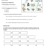 Pond Water Webs Ws And Food Web Worksheet Answer Key