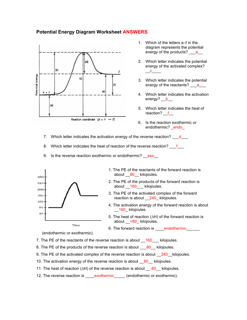 Potential Energy Diagram Worksheet Answers Also Endothermic And Exothermic Reaction Worksheet Answers