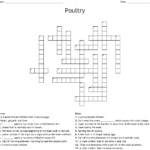 Poultry Crossword  Wordmint Throughout The Poultry Industry Worksheet Answers
