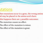 Ppt  Mutations And Punnet Squares Powerpoint Presentation  Id2158745 Throughout Dna Mutations Practice Worksheet Conclusion Answers