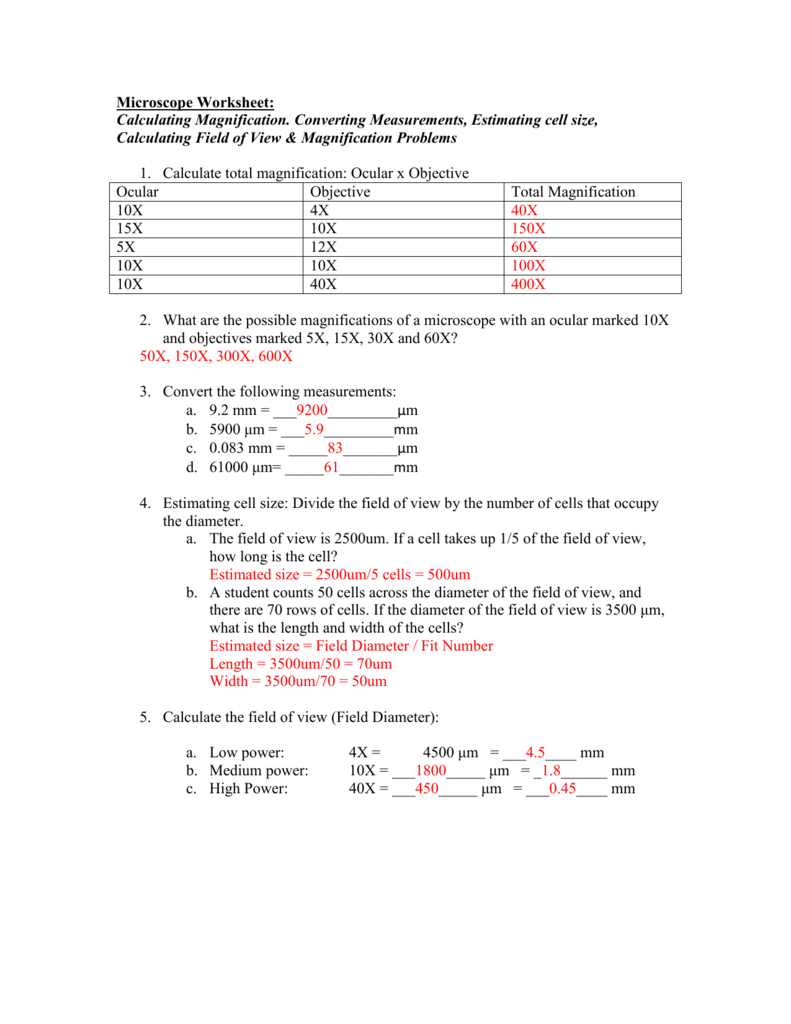 Practice With Microscope Problems  Answers Within Measuring With A Microscope Worksheet